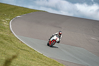 Advanced Group White Bikes
